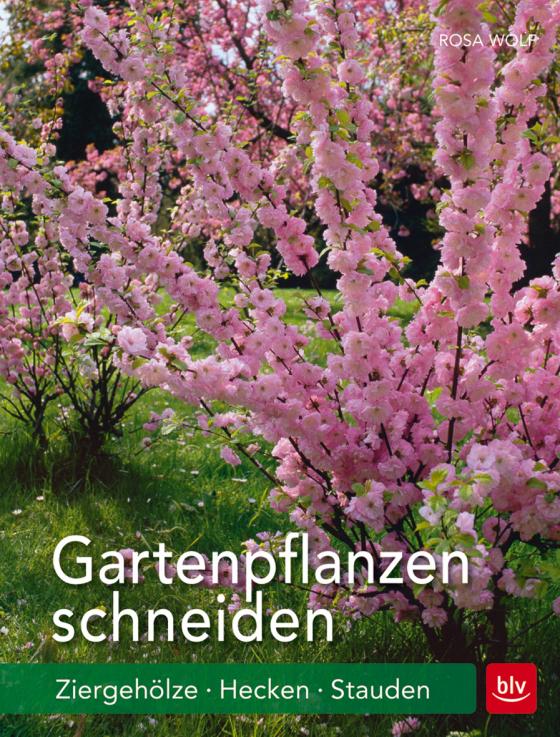 Cover-Bild Gartenpflanzen schneiden