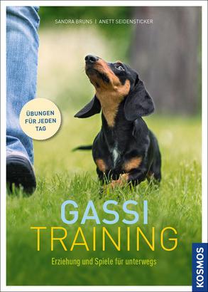 Cover-Bild Gassi-Training