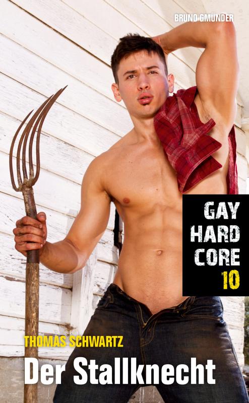 Cover-Bild Gay Hardcore 10: Der Stallknecht