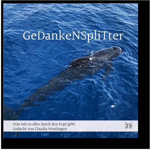 Cover-Bild Gedankensplitter