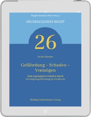 Cover-Bild Gefährdung – Schaden – Vermögen