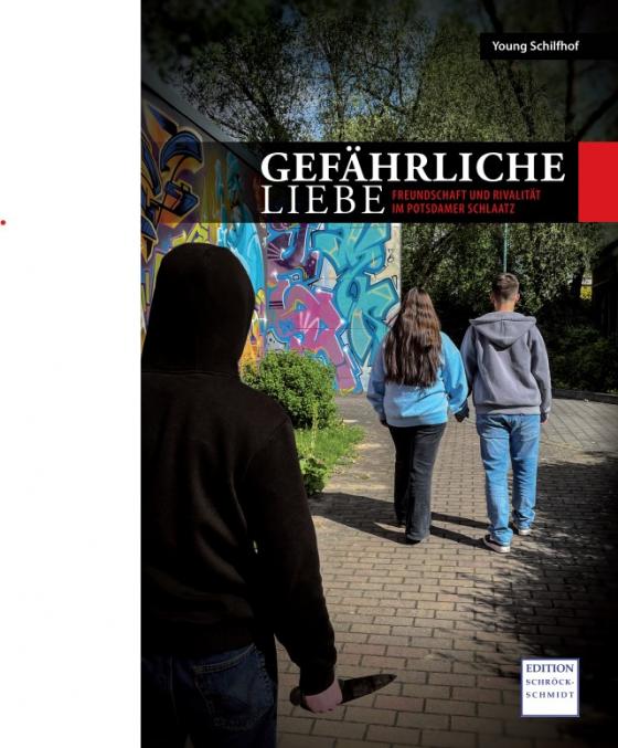 Cover-Bild Gefährliche Liebe