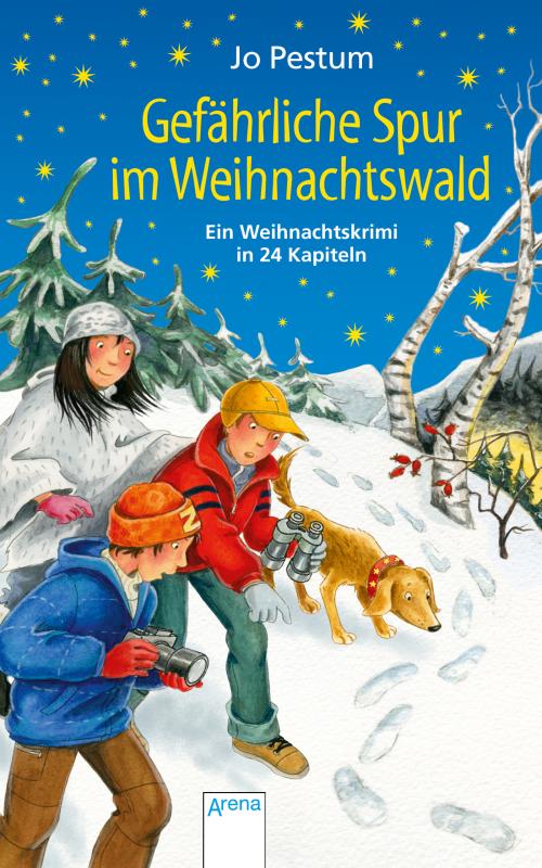 Cover-Bild Gefährliche Spur im Weihnachtswald