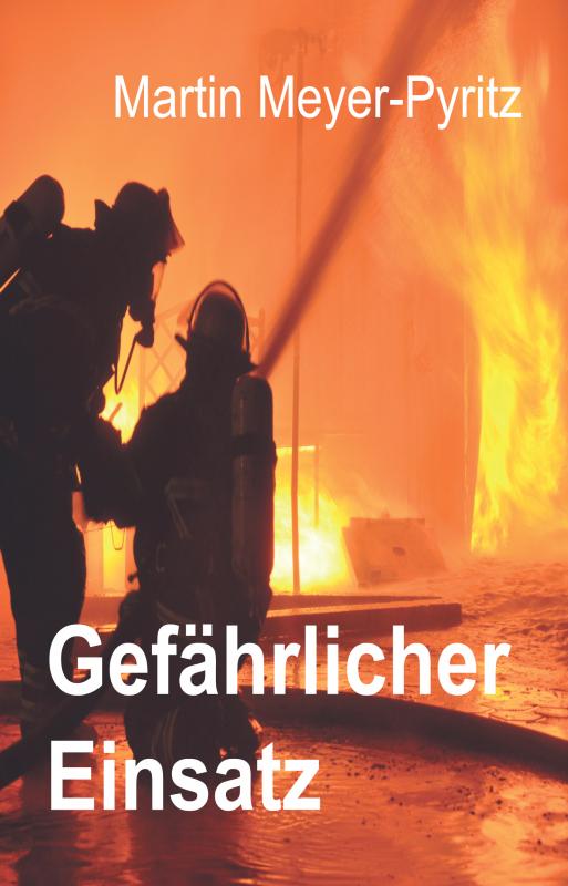 Cover-Bild Gefährlicher Einsatz