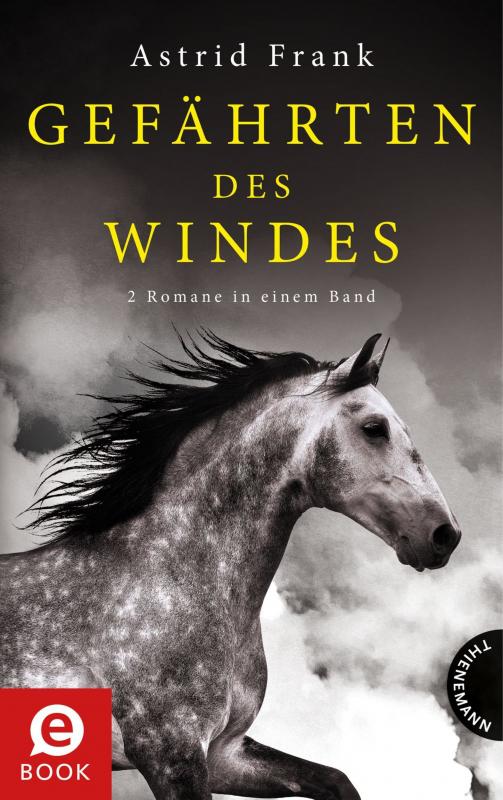 Cover-Bild Gefährten des Windes