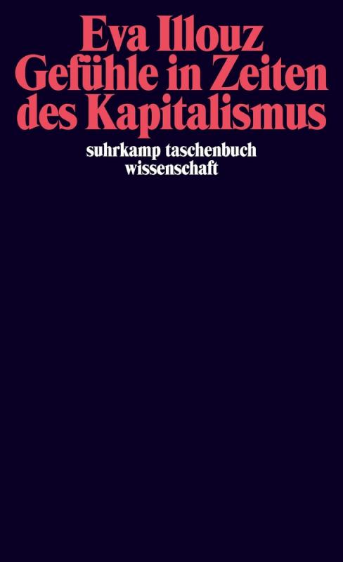 Cover-Bild Gefühle in Zeiten des Kapitalismus