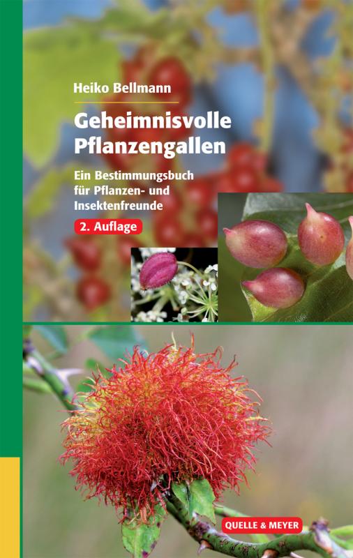 Cover-Bild Geheimnisvolle Pflanzengallen