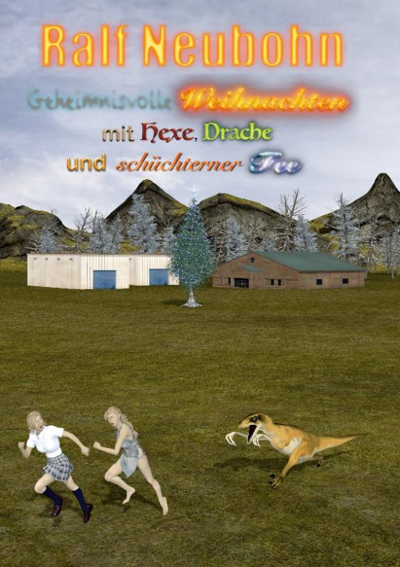 Cover-Bild Geheimnisvolle Weihnachten mit Hexe, Drache und schüchterner Fee