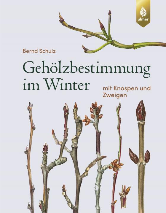 Cover-Bild Gehölzbestimmung im Winter