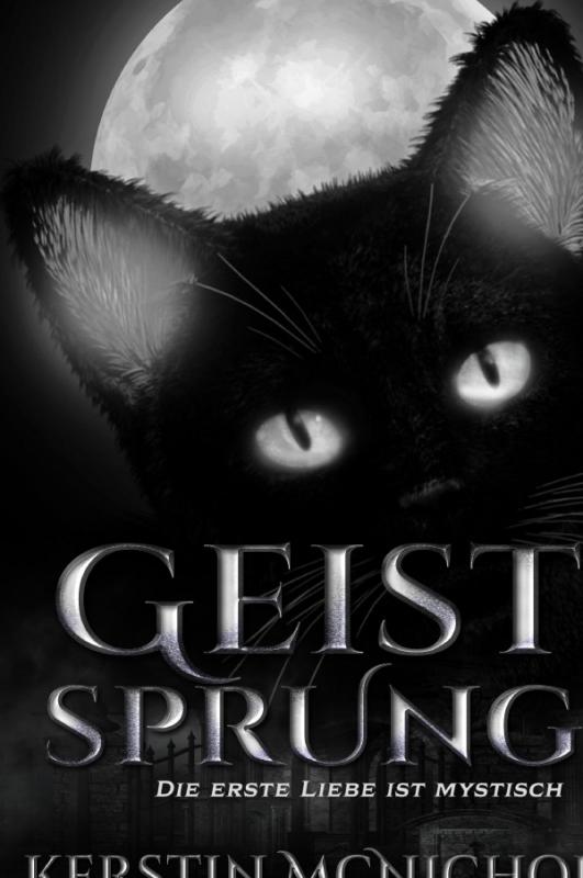 Cover-Bild Geist Sprung