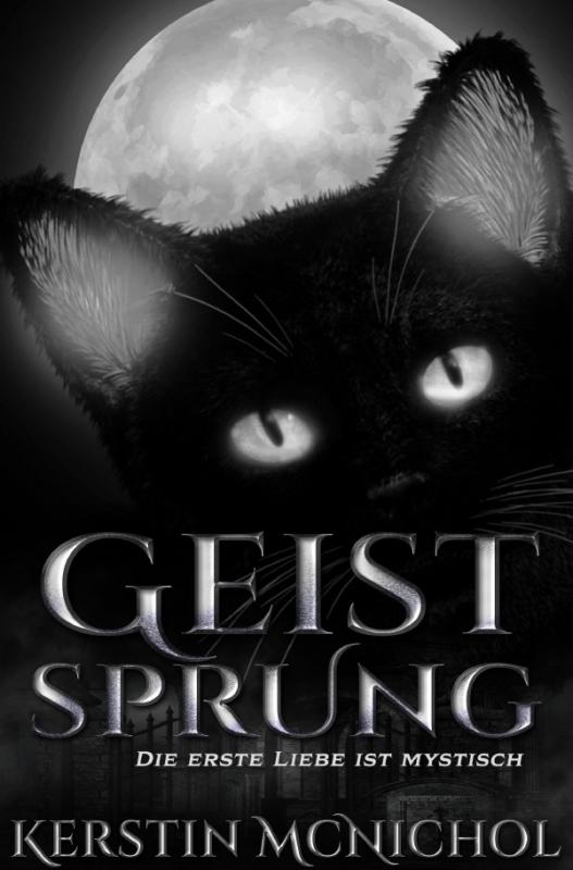 Cover-Bild Geist Sprung