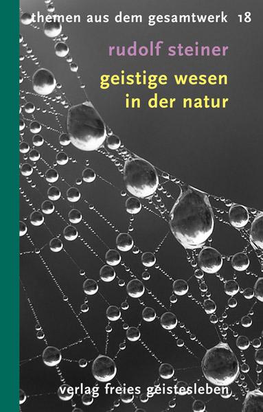 Cover-Bild Geistige Wesen in der Natur