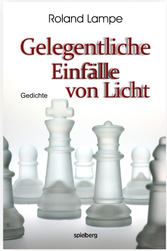 Cover-Bild Gelegentliche Einfälle von Licht