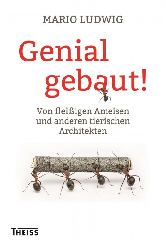 Cover-Bild Genial gebaut!