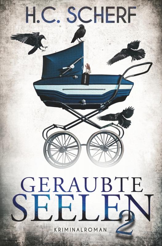 Cover-Bild Geraubte Seelen 2