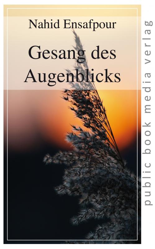 Cover-Bild Gesang des Augenblicks