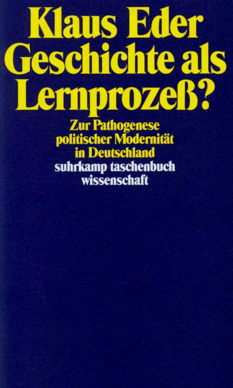 Cover-Bild Geschichte als Lernprozeß?