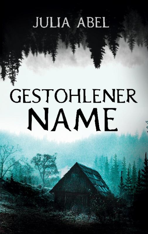 Cover-Bild Gestohlener Name