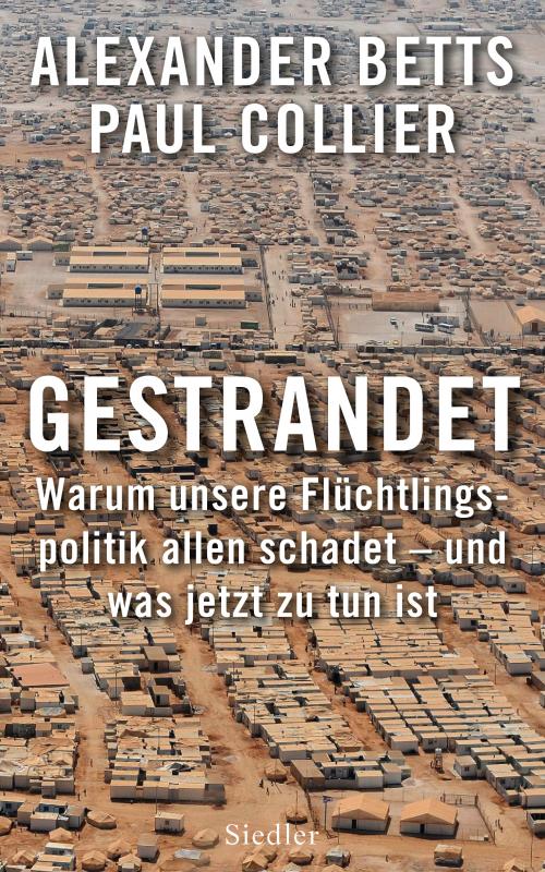 Cover-Bild Gestrandet