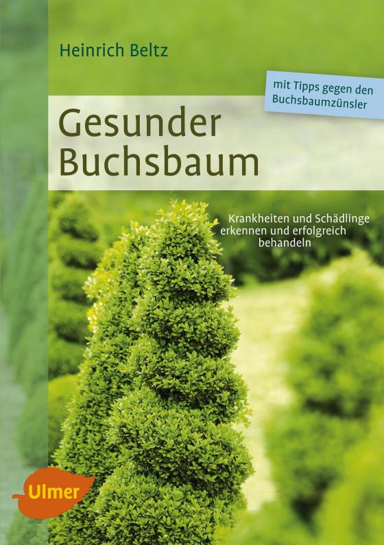 Cover-Bild Gesunder Buchsbaum