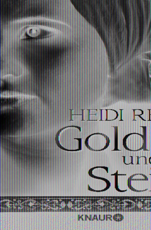 Cover-Bild Gold und Stein