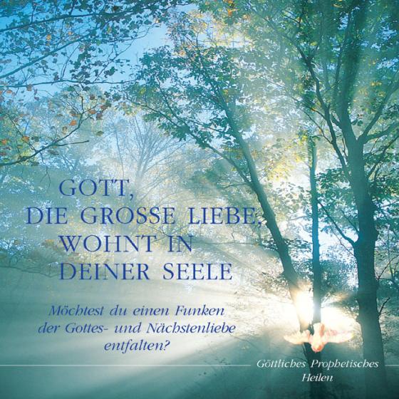 Cover-Bild Gott, die grosse Liebe, wohnt in Deiner Seele