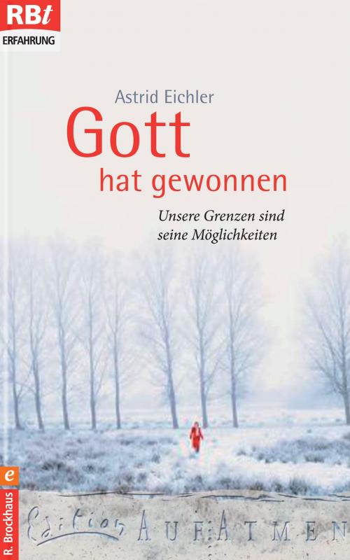 Cover-Bild Gott hat gewonnen