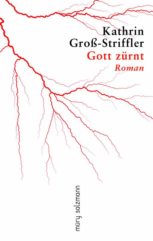 Cover-Bild Gott zürnt