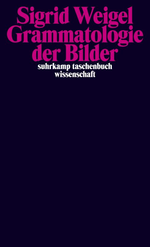 Cover-Bild Grammatologie der Bilder