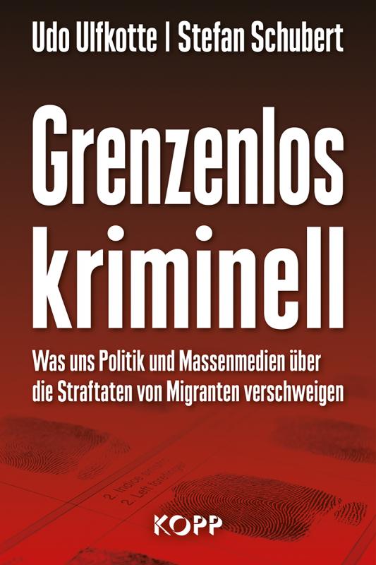 Cover-Bild Grenzenlos kriminell