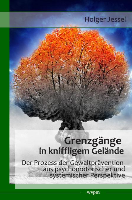 Cover-Bild Grenzgänge in kniffligem Gelände