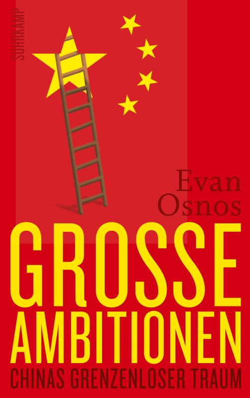 Cover-Bild Große Ambitionen