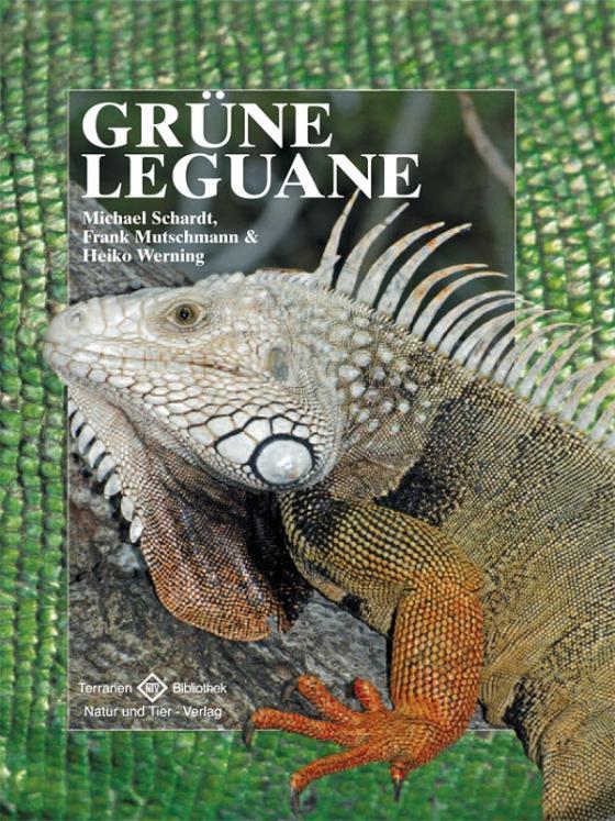 Cover-Bild Grüne Leguane