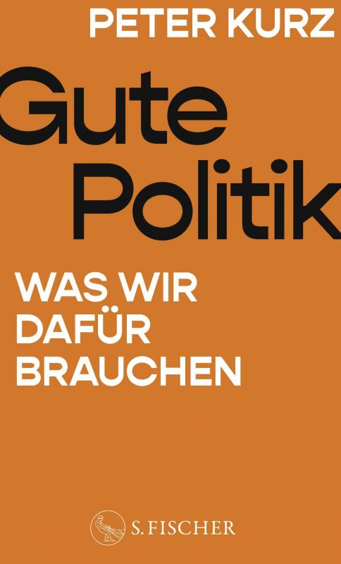 Cover-Bild Gute Politik