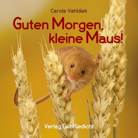 Cover-Bild Guten Morgen, kleine Maus!