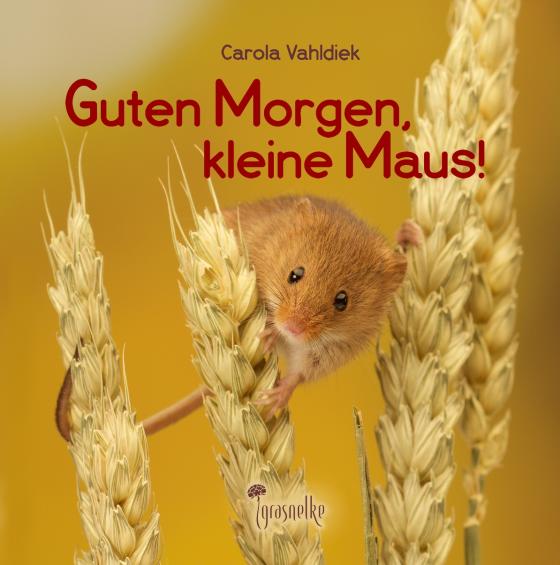 Cover-Bild Guten Morgen, kleine Maus!