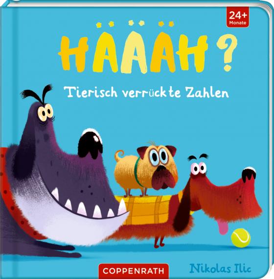 Cover-Bild Häääh?