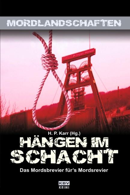 Cover-Bild Hängen im Schacht