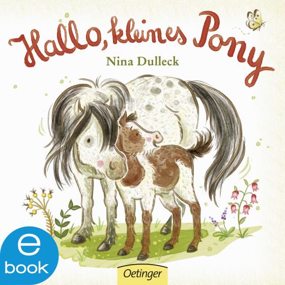 Cover-Bild Hallo, kleines Pony!