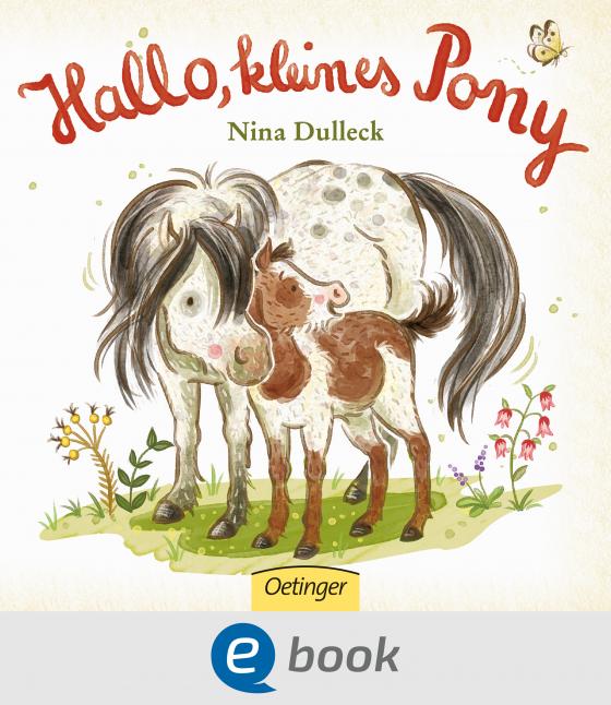 Cover-Bild Hallo, kleines Pony!