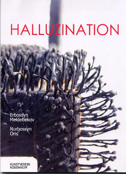 Cover-Bild Halluzination