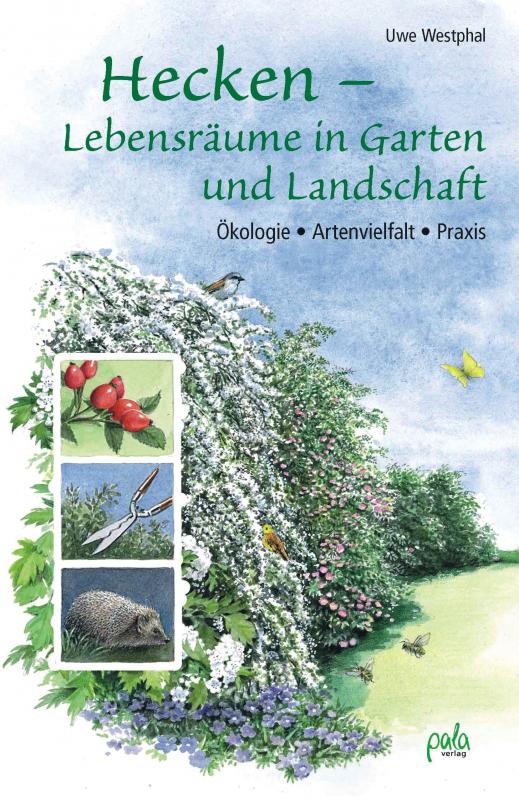 Cover-Bild Hecken - Lebensräume in Garten und Landschaft