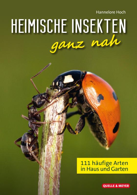 Cover-Bild Heimische Insekten ganz nah