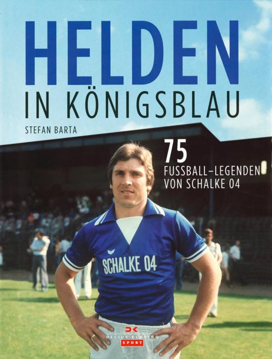 Cover-Bild Helden in Königsblau