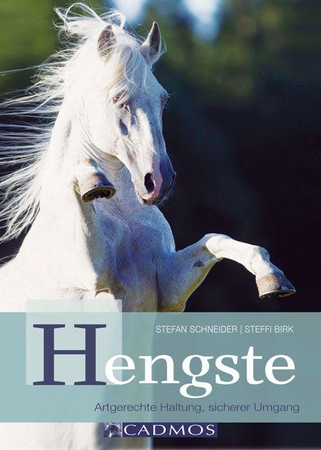 Cover-Bild Hengste