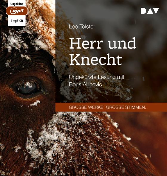 Cover-Bild Herr und Knecht