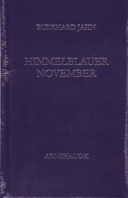 Cover-Bild Himmelblauer November