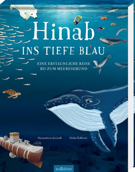 Cover-Bild Hinab ins tiefe Blau