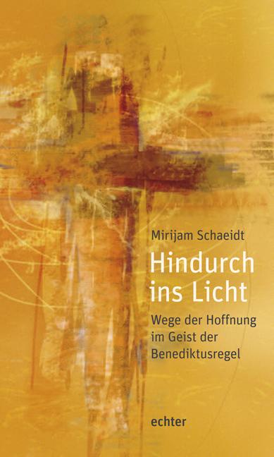 Cover-Bild Hindurch ins Licht