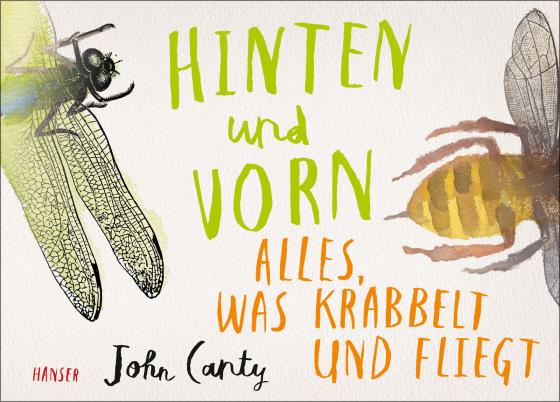 Cover-Bild Hinten und vorn - Alles, was krabbelt und fliegt